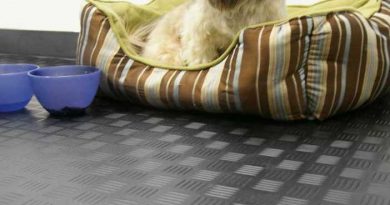 Dog_Kennel_Flooring
